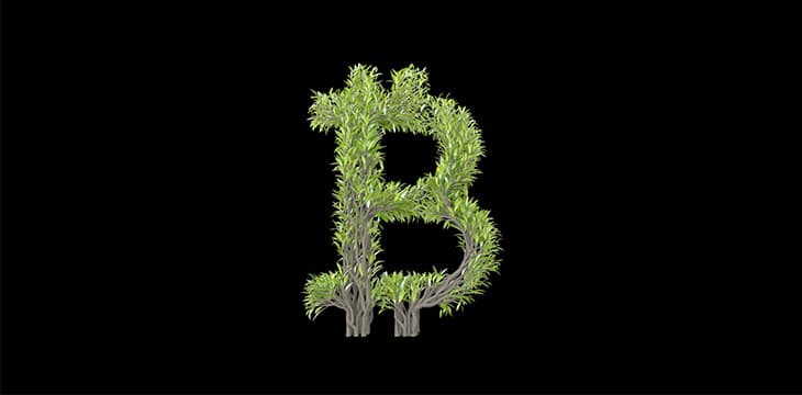 BSV als grüne Technologie