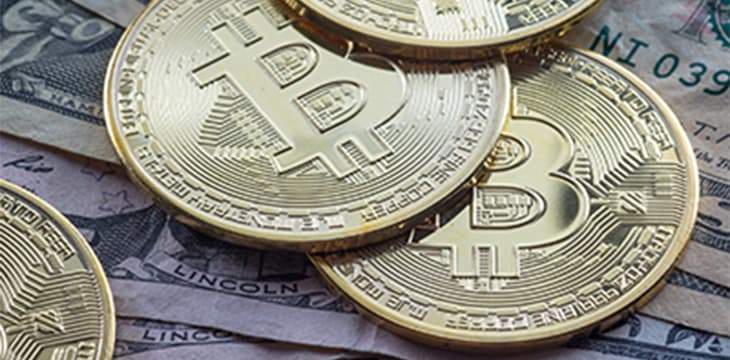 „Der Bitcoin-Standard“: Eine Kritik